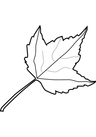 Maple Leaf Coloring Page